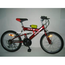 20" Steel Frame Mountain Bike (2008)